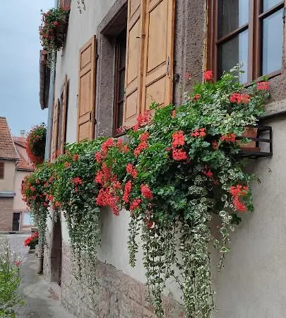 A L'aigle De Sable Appartement Kintzheim