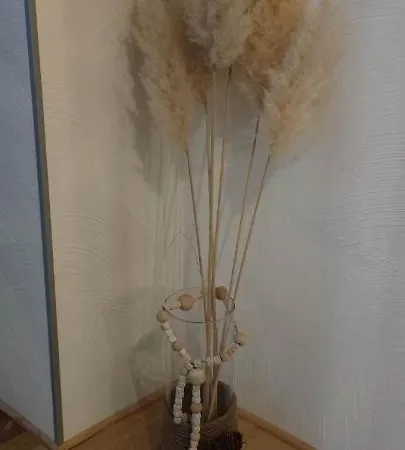 Appartement A L'aigle De Sable Kintzheim