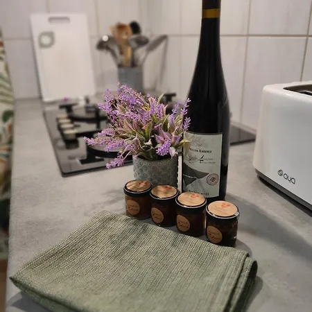 Appartement A L'aigle De Sable Kintzheim