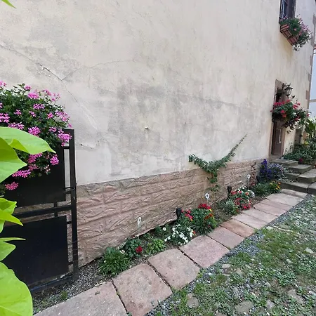 Appartement A L'aigle De Sable *