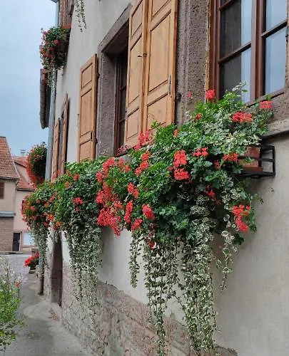 A L'aigle De Sable Daire Kintzheim