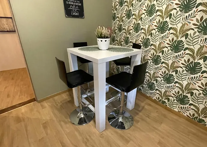 Daire A L'aigle De Sable Kintzheim