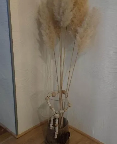 Daire A L'aigle De Sable Kintzheim