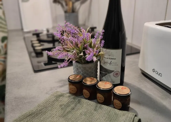 Daire A L'aigle De Sable Kintzheim