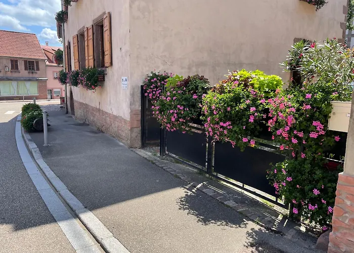 A L'aigle De Sable * Kintzheim