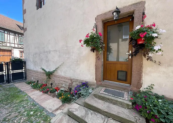 Daire A L'aigle De Sable Kintzheim