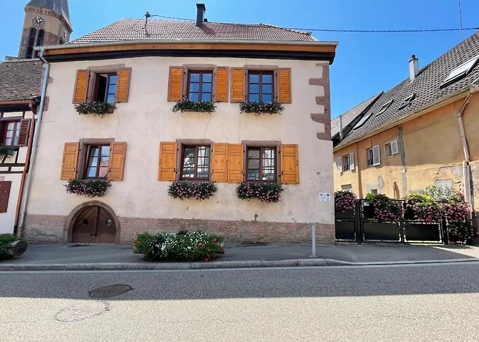 Daire A L'aigle De Sable